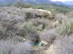 Yacimiento de la Almoloya 2007